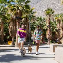 Two people walking a corgi dog on a palm-lined pathway on a bright sunny day.
