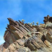 Andreas Canyon Rock Formation