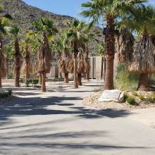 Downtown Park Paths