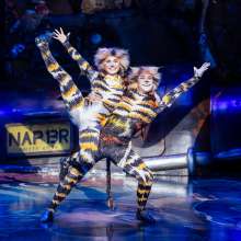 CATS The Musical