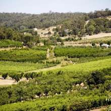 Carmel Bickley Valley