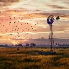 Dorset Road Windmill Waroona