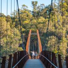 Dwaarlindjirraap Suspension Bridge Walking