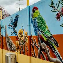 Public street mural in Waroona featuring native birds and flora