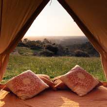 Wilderstay Glamping