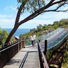 Kings Park Tree Top Walk