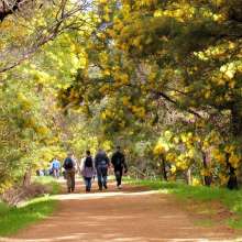 Railway Reserves Heritage Trail