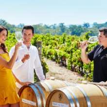 Swan Valley Tasting