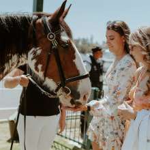 Left Bank Melbourne Cup