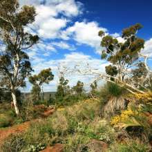 ZigZag Trail Kalamunda.