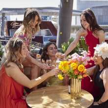 Stories Melbourne Cup Competition