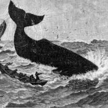 early whaling