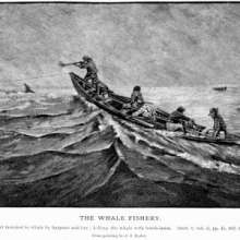 early whaling