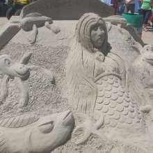 Under the Sea