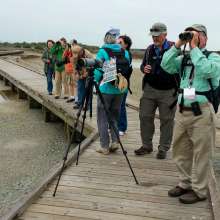 Birding Field Trip