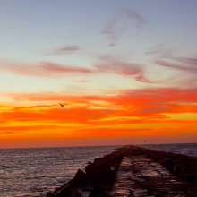 Jetty