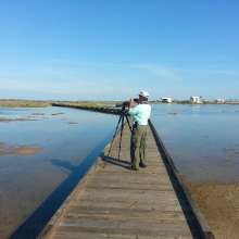 Nature Preserve Birding