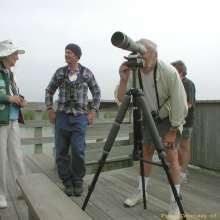 Birding Tour