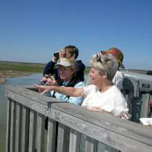 Birding at Leona Turnbull