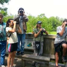 Team Uncommon Terns