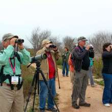 Winter Birders