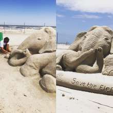 Save the Elephants
