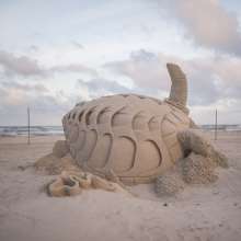 Turtle Sculpture