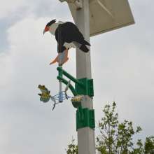 Photo of public artwork, Caracara wind vane