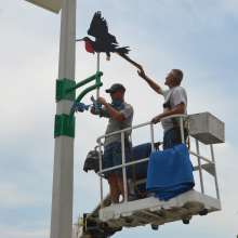 Photo of public artwork, Magnificent Fragate wind vane