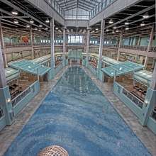 Photo of public artwork, Forces of Nature Terrazzo Floor