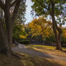 Prospect Terrace Fall