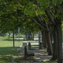 India Point Park