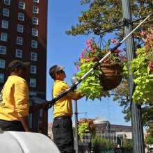 Crew Planting Flowers in Downtown Providence, RI