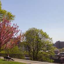 Spring in Providence