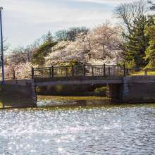Roger Williams Spring