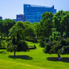 State House Lawn