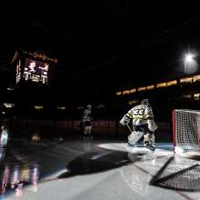 Bruins Goalie