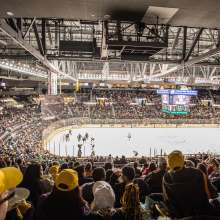 Providence Bruins Hockey
