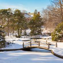 Roger Williams Snow