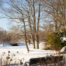 Roger Williams Park Snow