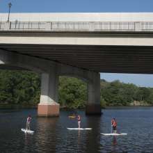 People paddle boarding