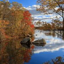Fall Foliage, Lincoln Woods