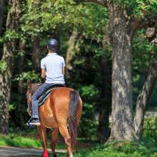 Goddard Park -Warwick