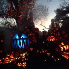 Jack-O-Lantern Spectacular-Roger Williams Park Zoo-Providence