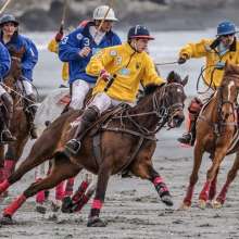Newport Polo