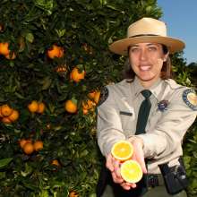 California Citrus State Historic Park
