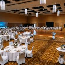 Mayo Civic Center Ballroom Wedding Reception