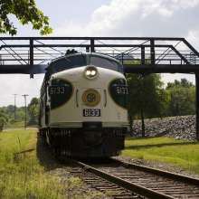 Southern Railway #6133 Train under the Bridge at the NC Transportation Museum