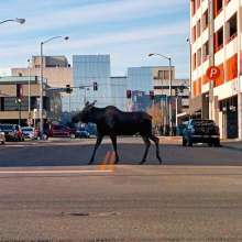 Visit Anchorage Destination Immersion 9