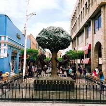 The Seal of Guadalajara